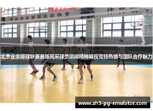 北京业余排球联赛赛场风采球员拼搏精神展现竞技热情与团队合作魅力