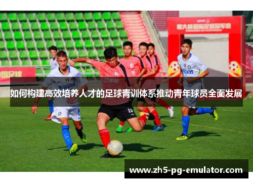 如何构建高效培养人才的足球青训体系推动青年球员全面发展
