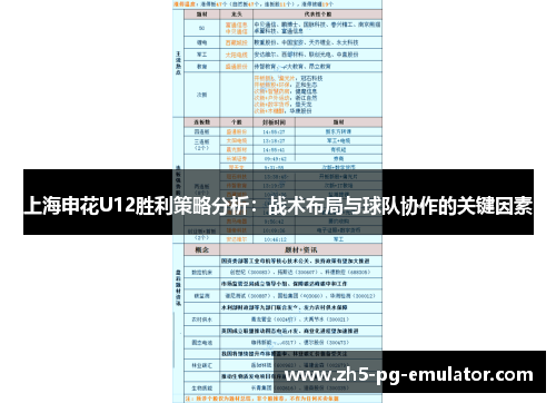 上海申花U12胜利策略分析：战术布局与球队协作的关键因素