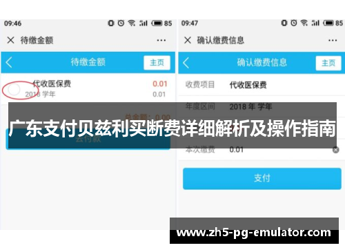 广东支付贝兹利买断费详细解析及操作指南