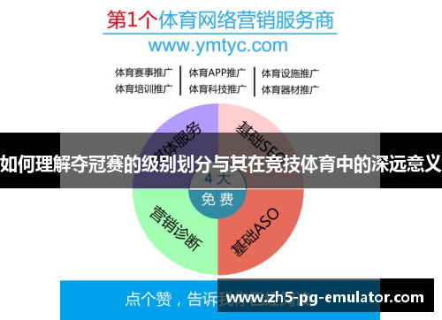 如何理解夺冠赛的级别划分与其在竞技体育中的深远意义 如何理解夺冠赛的级别划分与其在竞技体育中的深远意义