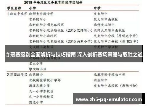 夺冠赛级别全面解析与技巧指南 深入剖析赛场策略与取胜之道