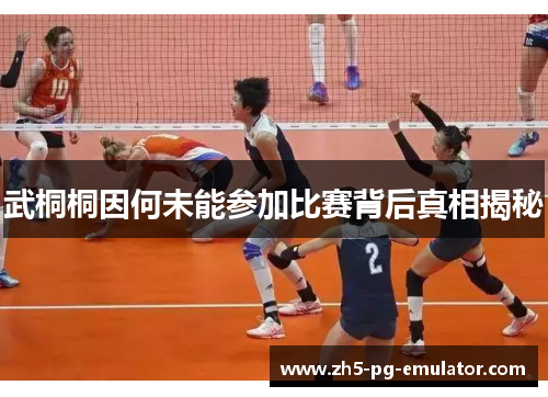 武桐桐因何未能参加比赛背后真相揭秘 武桐桐因何未能参加比赛背后真相揭秘