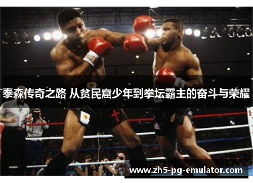 泰森传奇之路 从贫民窟少年到拳坛霸主的奋斗与荣耀