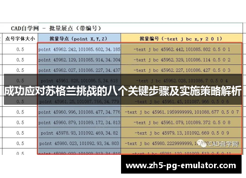 成功应对苏格兰挑战的八个关键步骤及实施策略解析