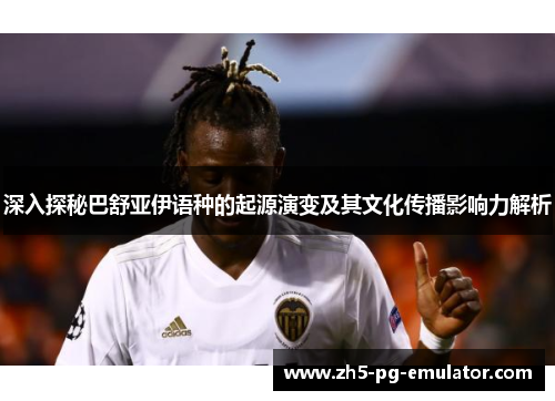 深入探秘巴舒亚伊语种的起源演变及其文化传播影响力解析