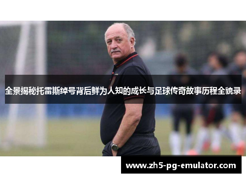 全景揭秘托雷斯绰号背后鲜为人知的成长与足球传奇故事历程全貌录